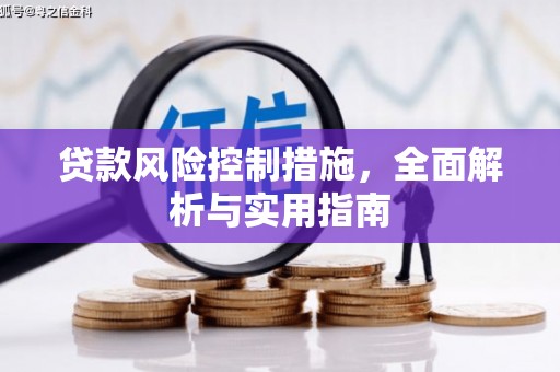 磐安贷款风险控制措施，全面解析与实用指南