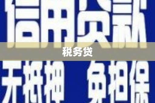 磐安税务贷