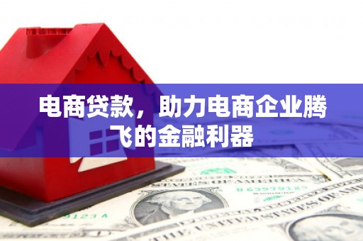 磐安电商贷款，助力电商企业腾飞的金融利器