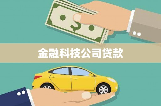 磐安金融科技公司贷款