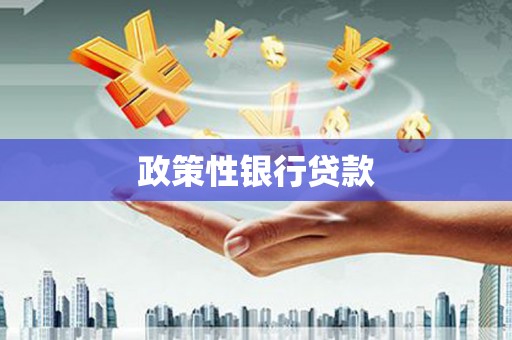磐安政策性银行贷款