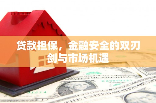 磐安贷款担保，金融安全的双刃剑与市场机遇