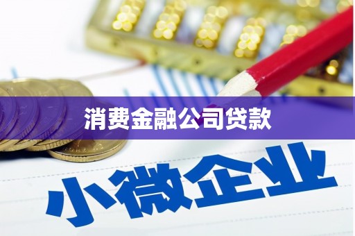 磐安消费金融公司贷款