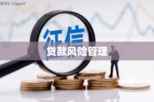 磐安贷款风险管理