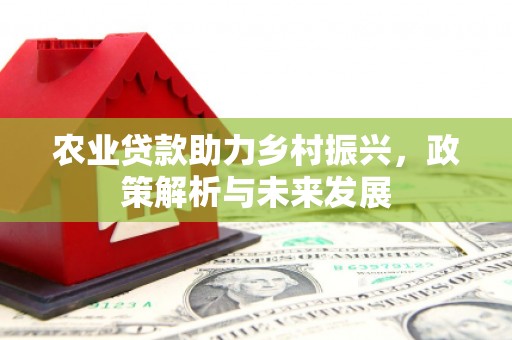 磐安农业贷款助力乡村振兴，政策解析与未来发展