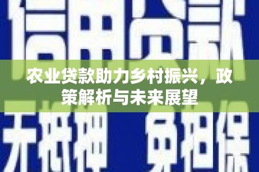 磐安农业贷款助力乡村振兴，政策解析与未来展望