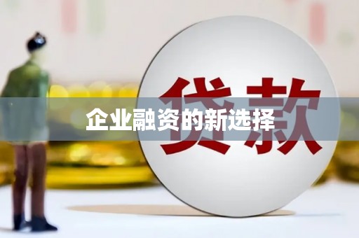 磐安企业融资的新选择