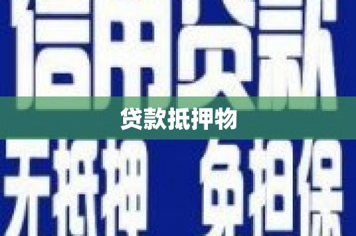 磐安贷款抵押物