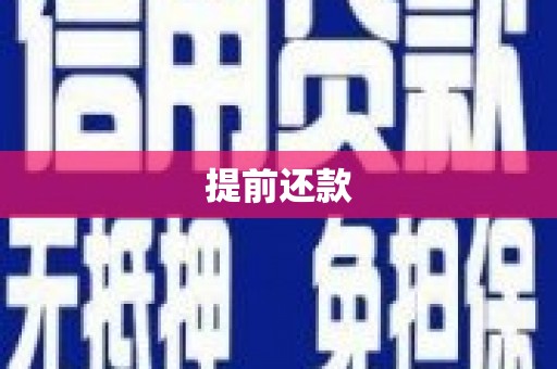 磐安提前还款