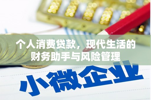 磐安个人消费贷款，现代生活的财务助手与风险管理