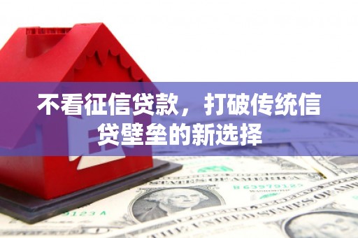 磐安不看征信贷款，打破传统信贷壁垒的新选择