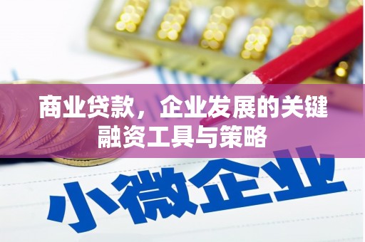 磐安商业贷款，企业发展的关键融资工具与策略