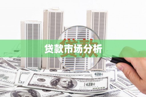 磐安贷款市场分析