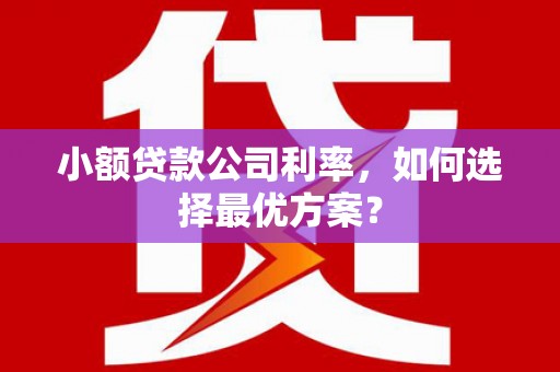 磐安小额贷款公司利率，如何选择最优方案？