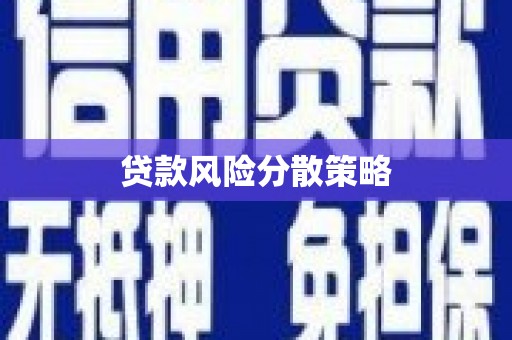 磐安贷款风险分散策略