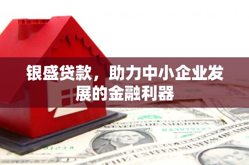 磐安银盛贷款，助力中小企业发展的金融利器