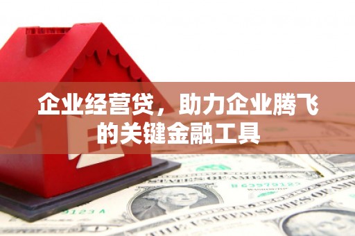 磐安企业经营贷，助力企业腾飞的关键金融工具