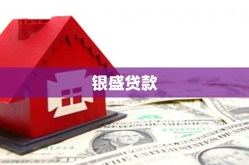 磐安银盛贷款