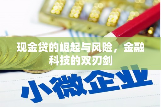 磐安现金贷的崛起与风险，金融科技的双刃剑