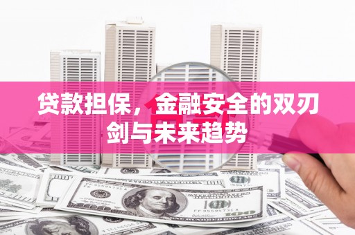 磐安贷款担保，金融安全的双刃剑与未来趋势