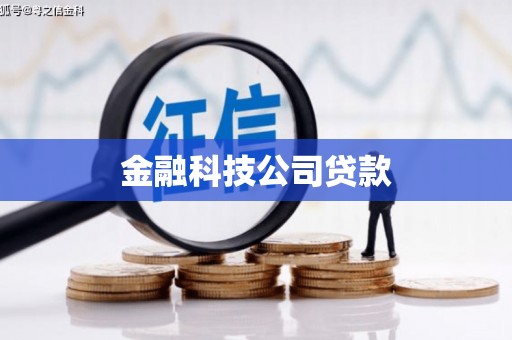 磐安金融科技公司贷款