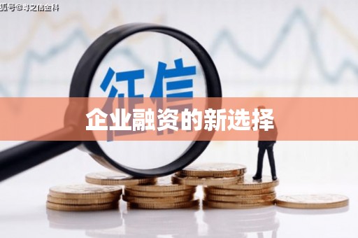 磐安企业融资的新选择