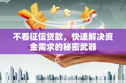磐安不看征信贷款，快速解决资金需求的秘密武器