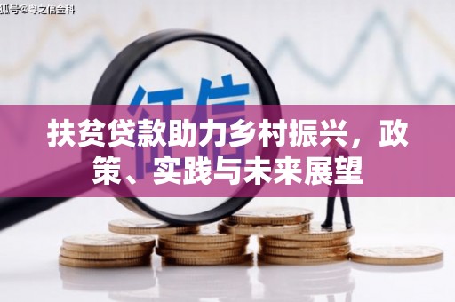 磐安扶贫贷款助力乡村振兴，政策、实践与未来展望
