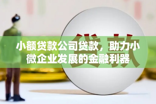 磐安小额贷款公司贷款，助力小微企业发展的金融利器