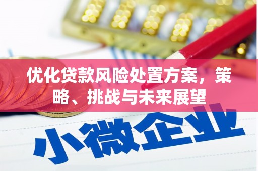 磐安优化贷款风险处置方案，策略、挑战与未来展望
