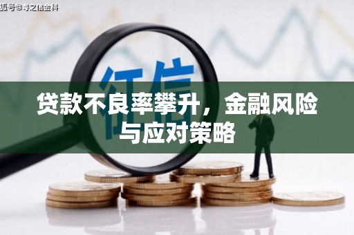 磐安贷款不良率攀升，金融风险与应对策略