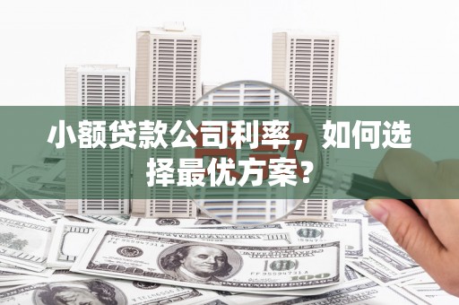磐安小额贷款公司利率，如何选择最优方案？