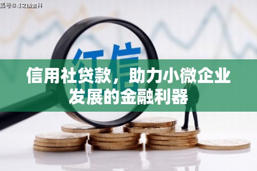 磐安信用社贷款，助力小微企业发展的金融利器