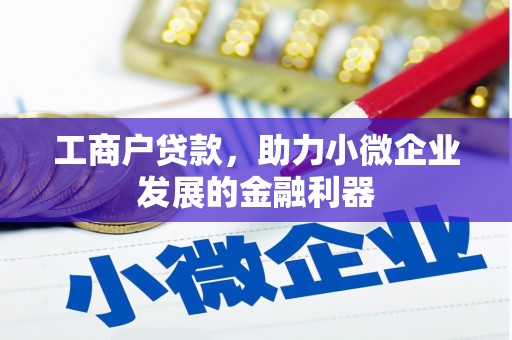 磐安工商户贷款，助力小微企业发展的金融利器