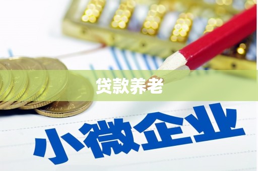 磐安贷款养老