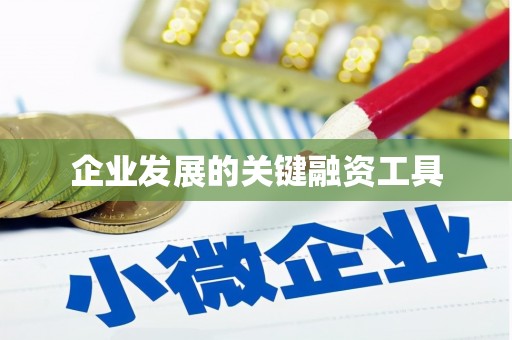 磐安企业发展的关键融资工具