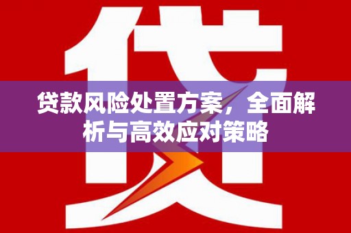 磐安贷款风险处置方案，全面解析与高效应对策略