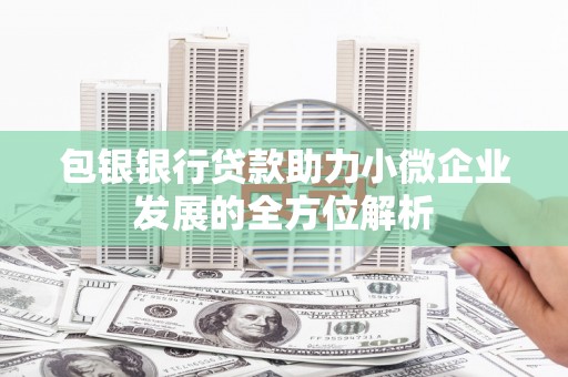 磐安包银银行贷款助力小微企业发展的全方位解析