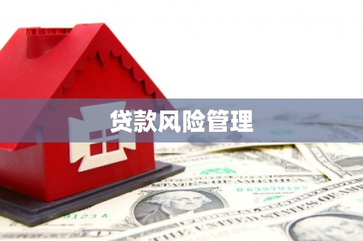 磐安贷款风险管理