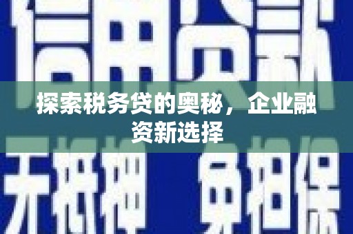 磐安探索税务贷的奥秘，企业融资新选择