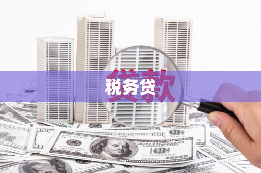 磐安税务贷