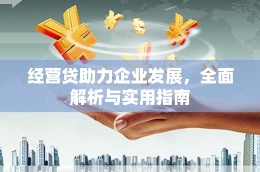 磐安经营贷助力企业发展，全面解析与实用指南