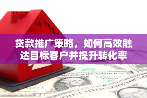 磐安贷款推广策略，如何高效触达目标客户并提升转化率