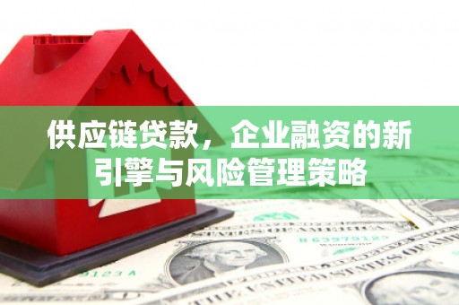 磐安供应链贷款，企业融资的新引擎与风险管理策略