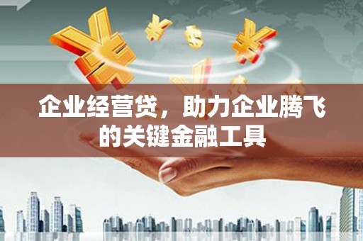 磐安企业经营贷，助力企业腾飞的关键金融工具