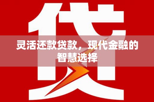 磐安灵活还款贷款，现代金融的智慧选择