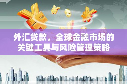 磐安外汇贷款，全球金融市场的关键工具与风险管理策略