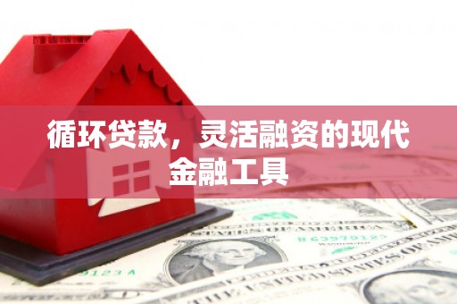 磐安循环贷款，灵活融资的现代金融工具