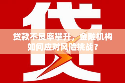 磐安贷款不良率攀升，金融机构如何应对风险挑战？