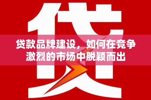 磐安贷款品牌建设，如何在竞争激烈的市场中脱颖而出